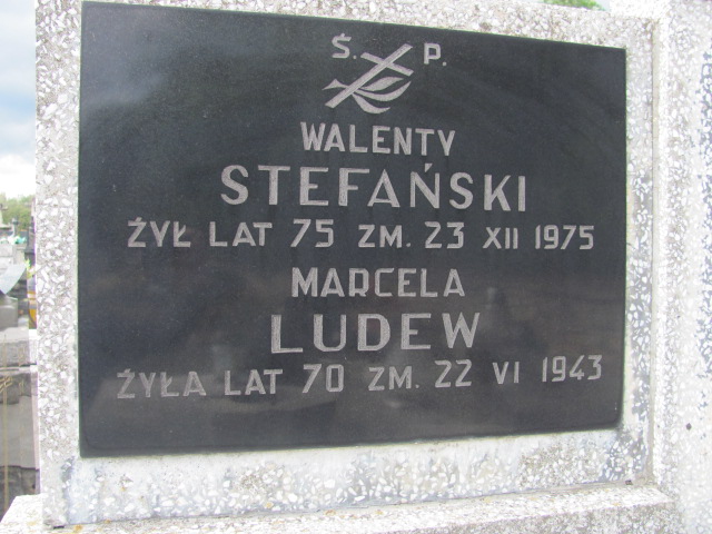 Walenty Stefański Szydłowiec - Grobonet - Wyszukiwarka osób pochowanych