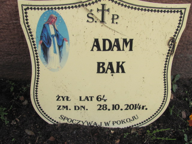 Wiktoria Tomczyk 1895 Szydłowiec - Grobonet - Wyszukiwarka osób pochowanych